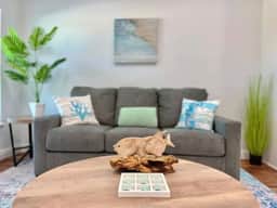 Sea Turtle | Relaxing Gulf Coast Escape, Pets!